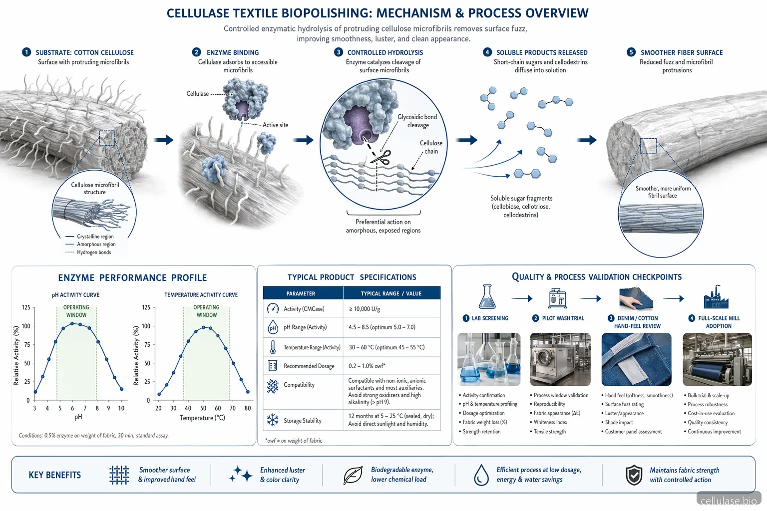 cellulase enzyme leverandørguide til tekstil biopolering med fiberhydrolyse, pH-temperaturvindue og QC-punkter