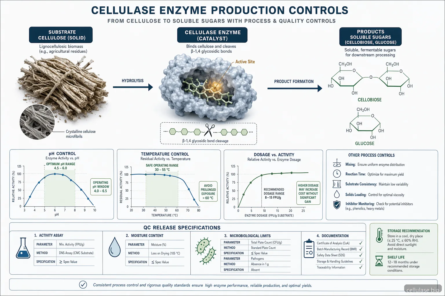 cellulase enzyme production process diagram, reaction flow with pH and temperature windows, activity testing, QC release