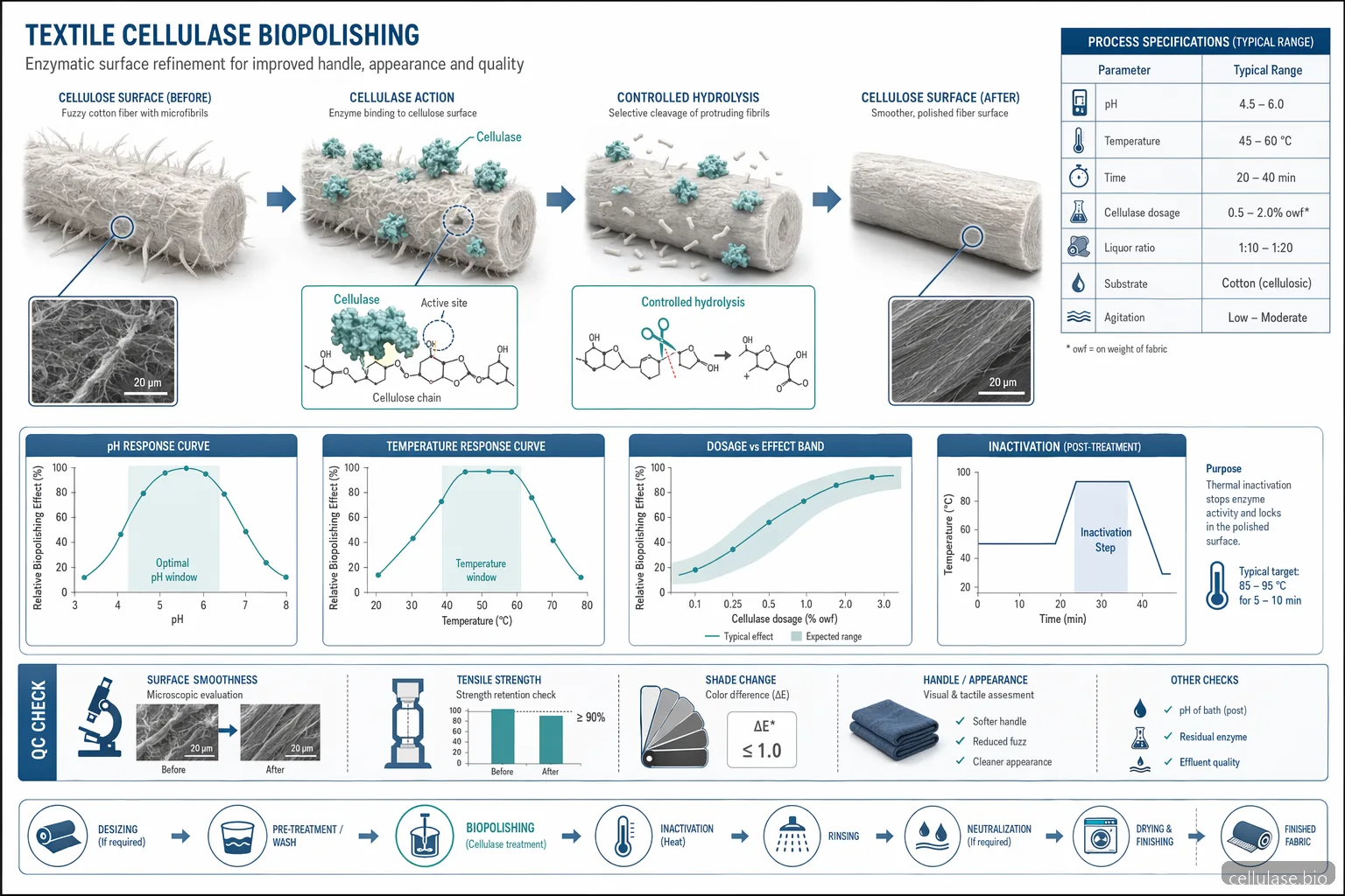 enzym cellulase textile process diagram mapping cellulose hydrolysis, pH-temperature windows, dosing, and QC checks