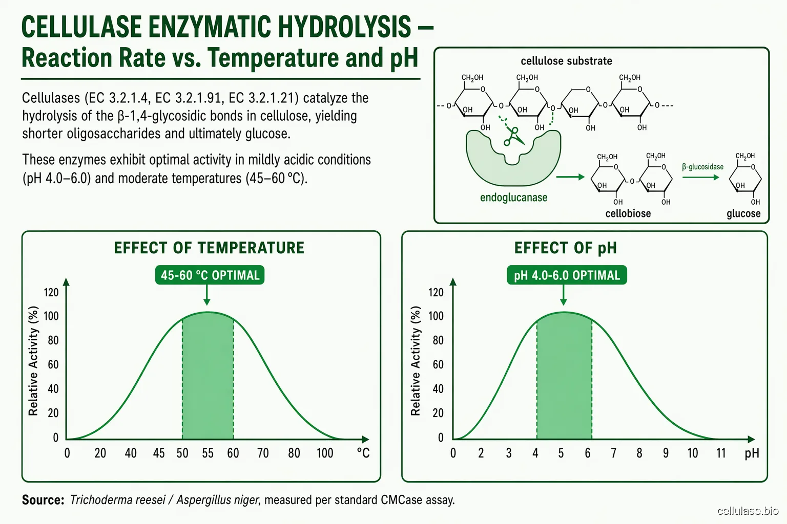 Cellulase reaction rate vs temperature and pH — bell curves with optimal zones shaded